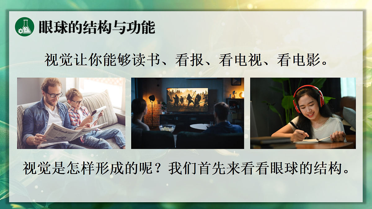 17367609第7页