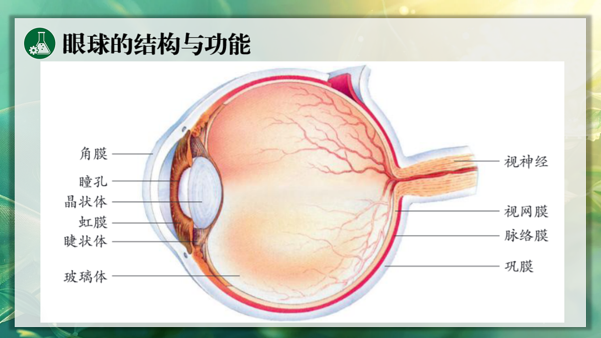 17367609第8页