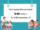 【新教材新课标】人教版英语八上Unit 4 Amazing Plants and Animals第1课时（Section A 1a-1d & Pronunication）教学课件+素材
