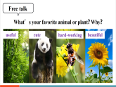 【新教材新课标】人教版英语八上Unit 4 Amazing Plants and Animals第1课时（Section A 1a-1d & Pronunication）教学课件+素材