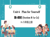 【新教材新课标】人教版英语八上Unit 6 Plan for Yourself第4课时（Section B 1a-2c）教学课件+素材