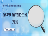 15.3植物的生殖方式 课件 2025-2026学年北师大版八年级生物上册