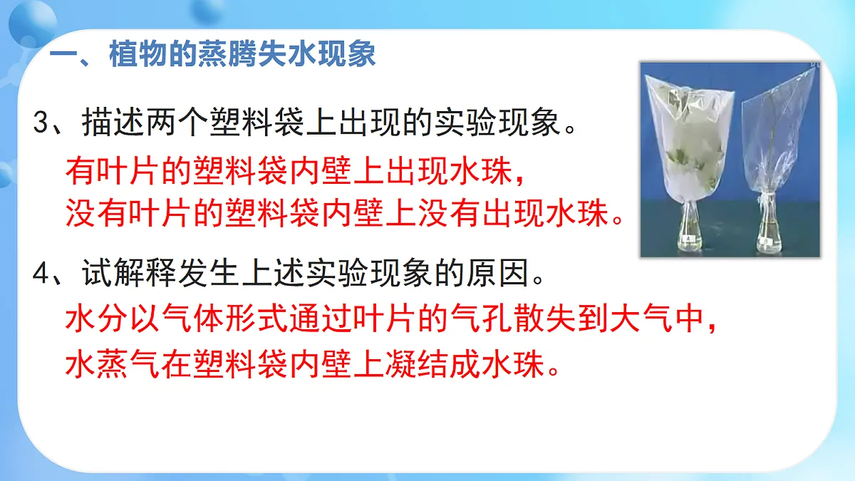 17368922第8页