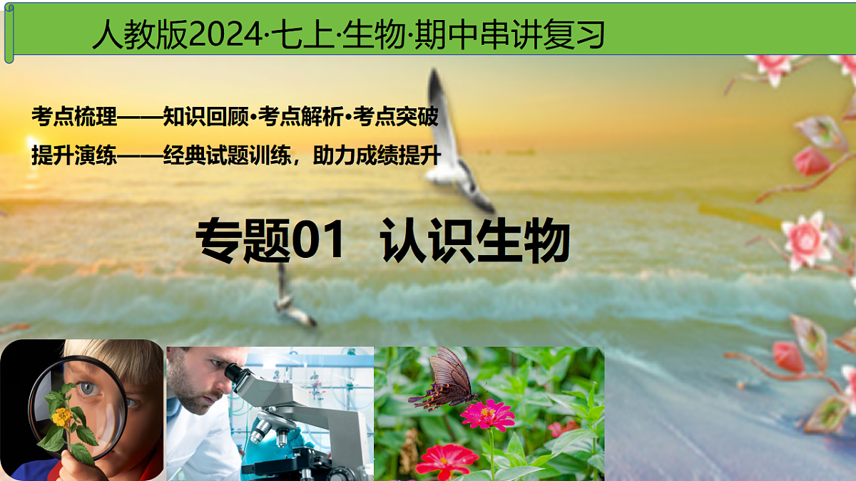 17368952第1页