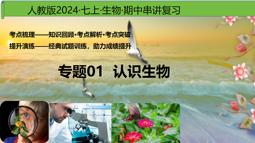 17368952第1页