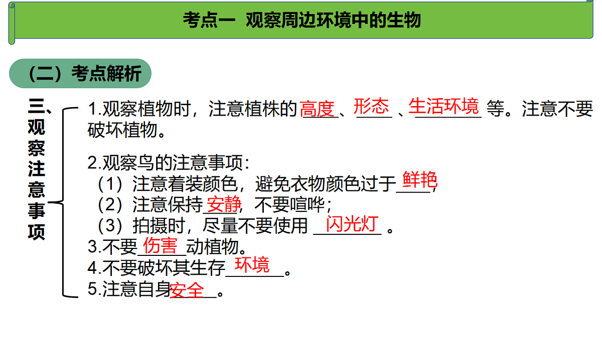 17368952第7页