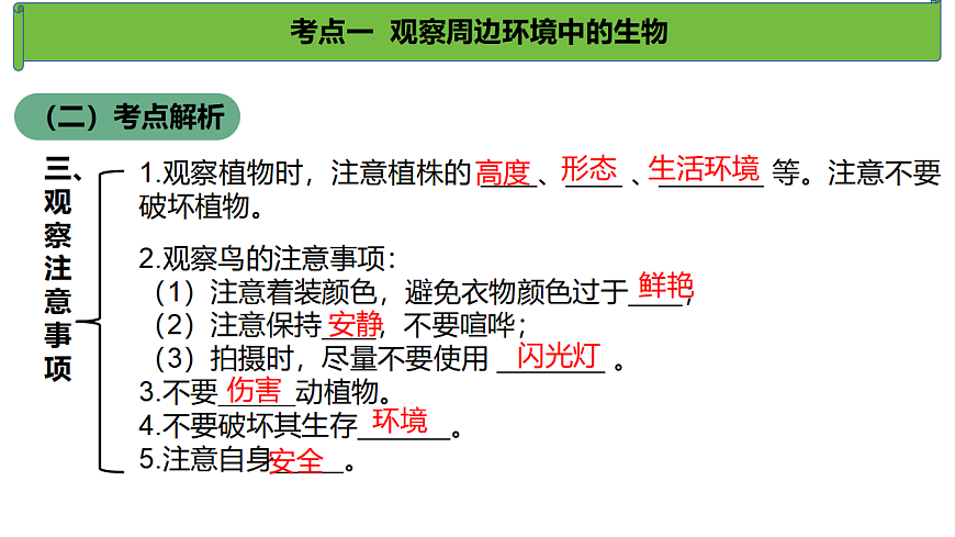 17368952第7页
