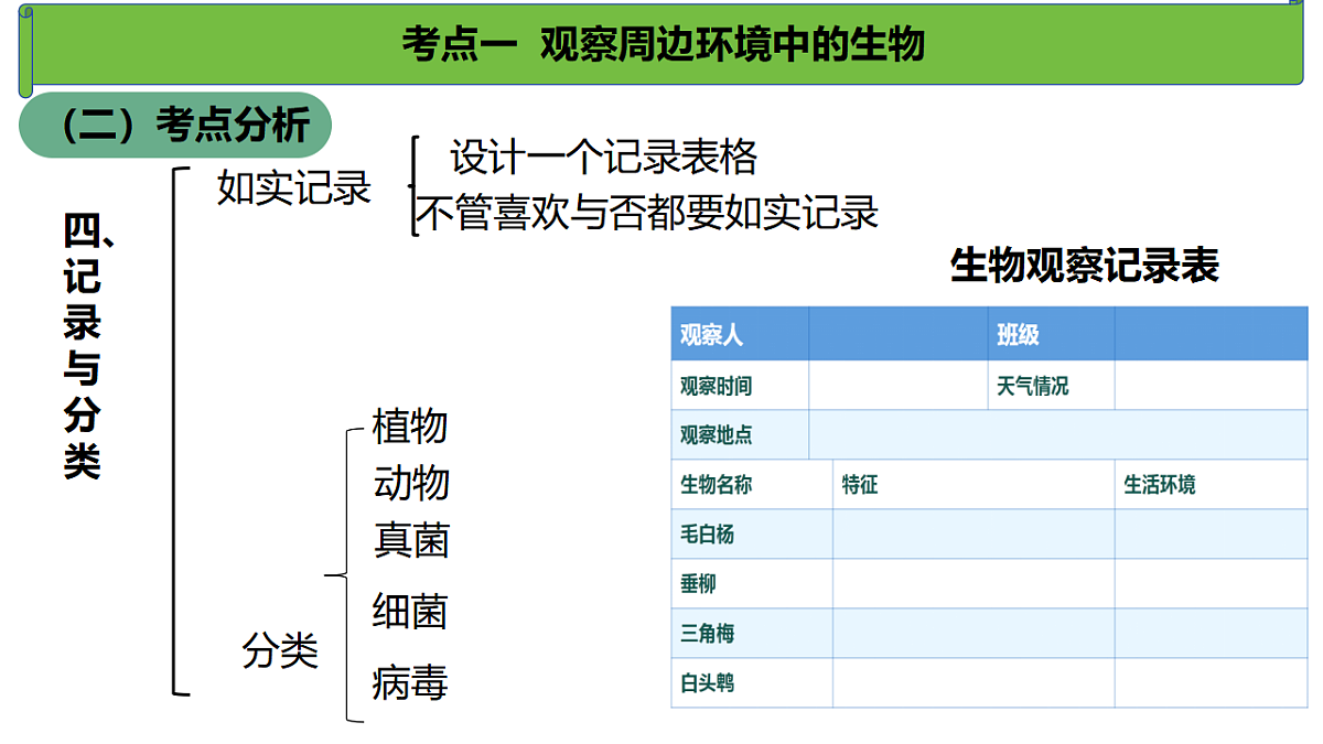 17368952第8页