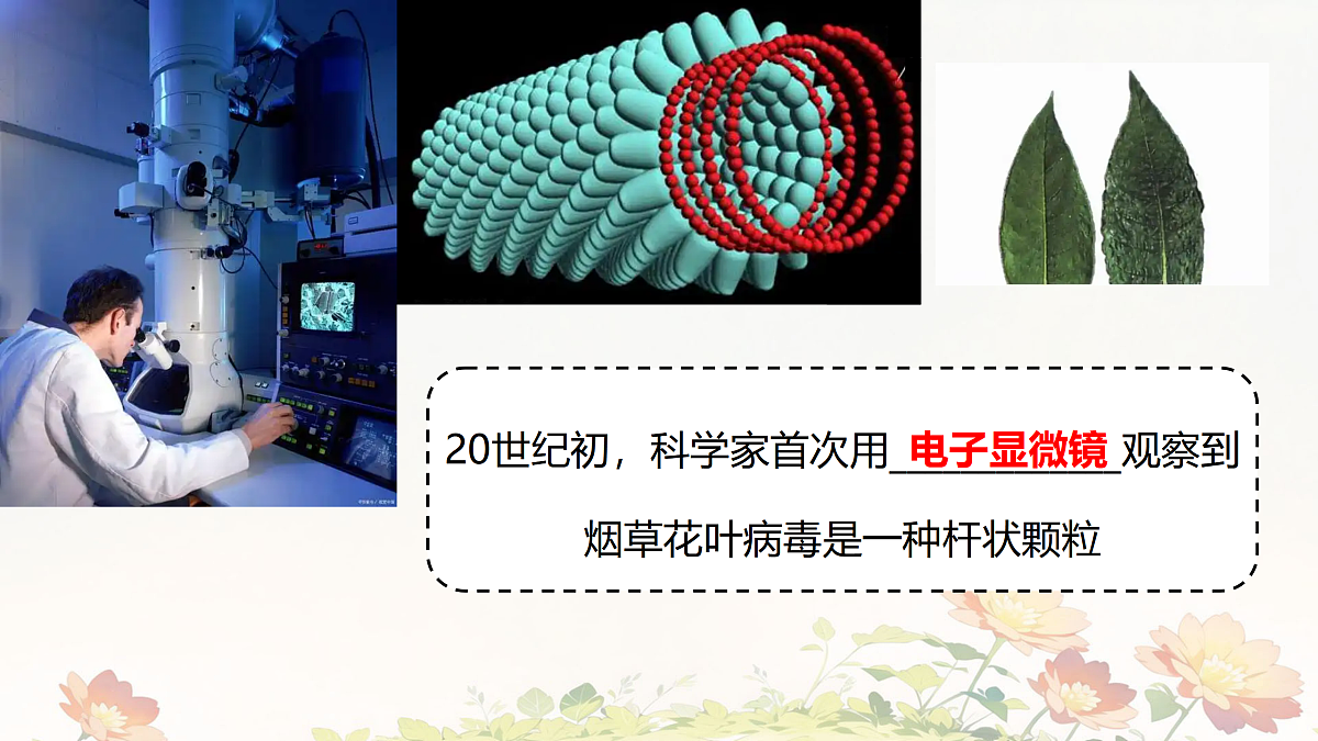 17369570第5页