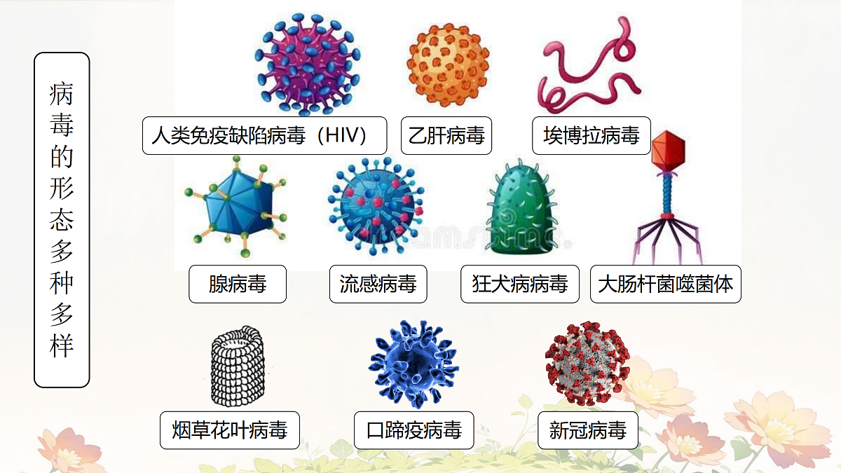 17369570第7页