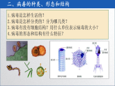 初中  生物  人教版（2024）  七年级上册2.3.4 病毒 课件