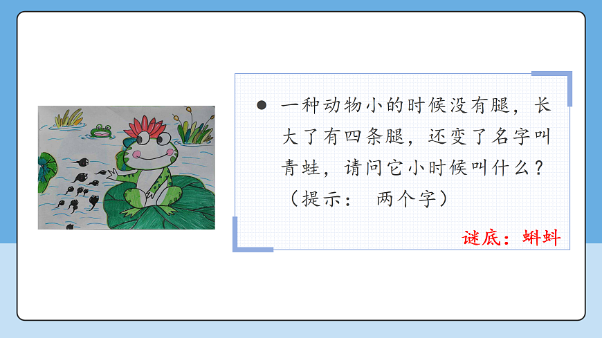 17369614第6页