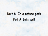 人教PEP五年级英语上册课件Unit 6《In a nature park》Part A 第3课时