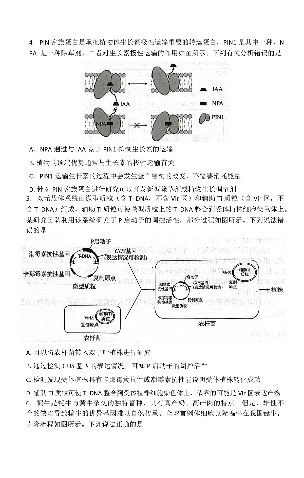 湖北省恩施2026届高三上学期9月起点考试+生物第3页