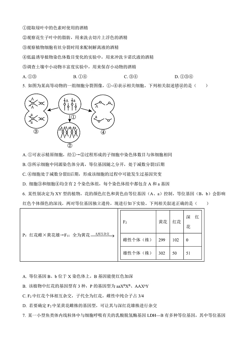 河南省驻马店市重点高中联考2024-2025学年高三下学期3月月考生物试题  Word版无答案第2页