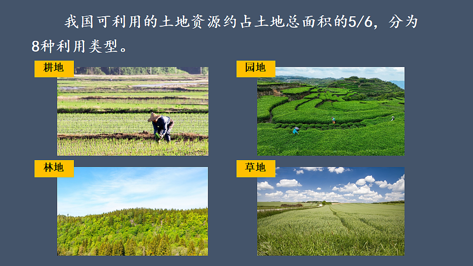 17370776第6页