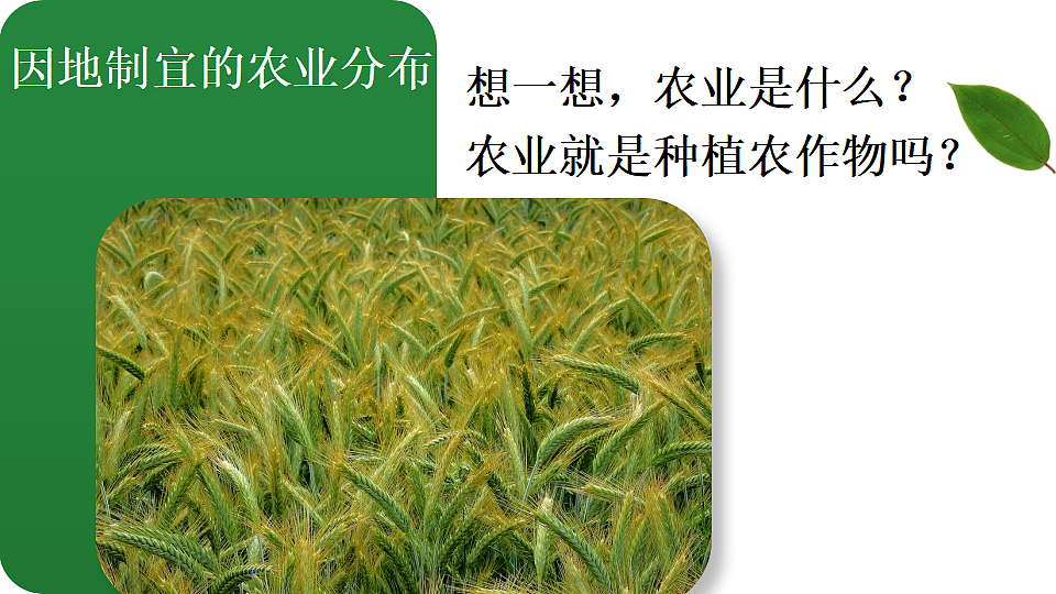 第一节 农业第4页