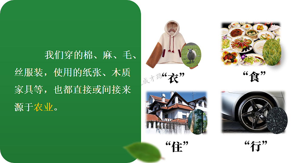 第一节 农业第6页