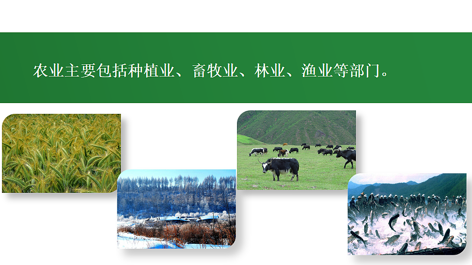 第一节 农业第7页
