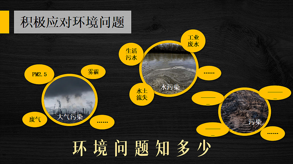 第二节 环境保护与发展第3页
