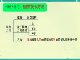 初中  生物  人教版（2024）  七年级上册2.4.2 从种到界 课件