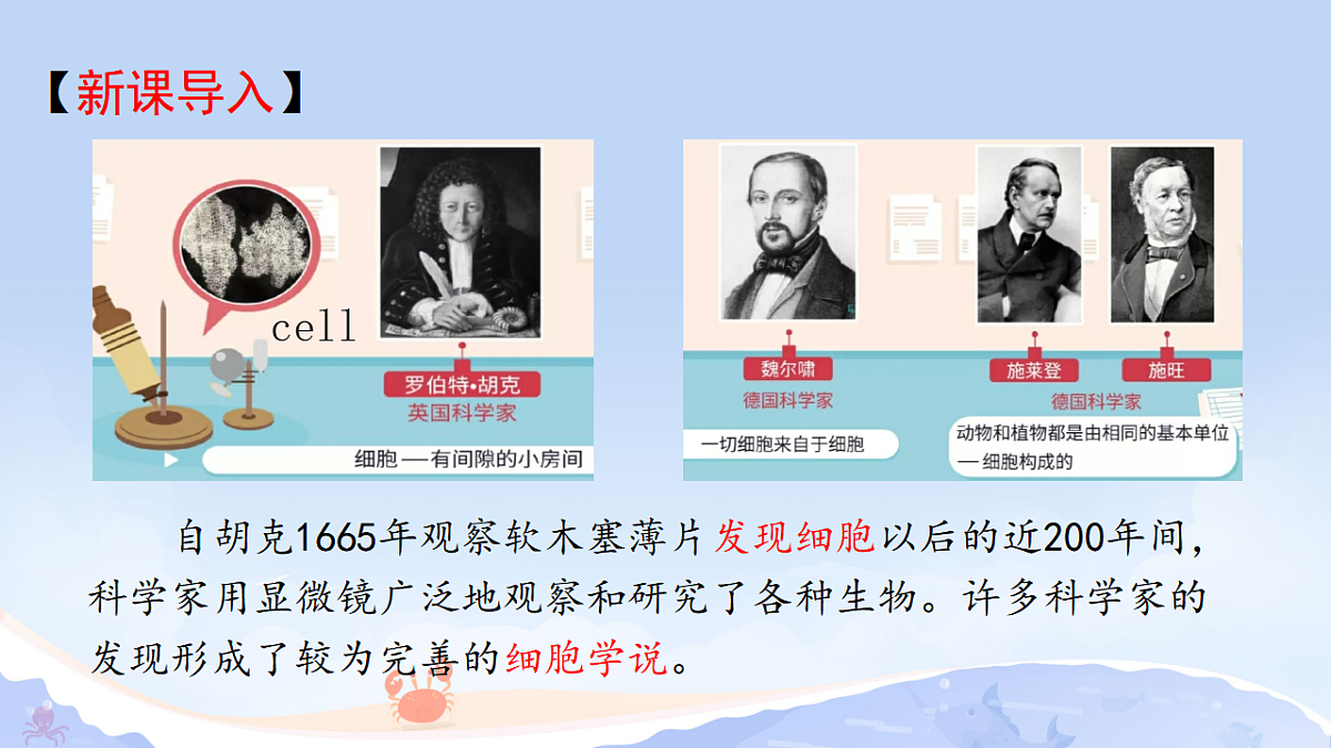 17371305第3页