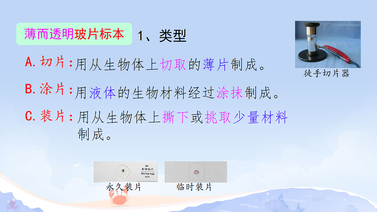 17371305第4页