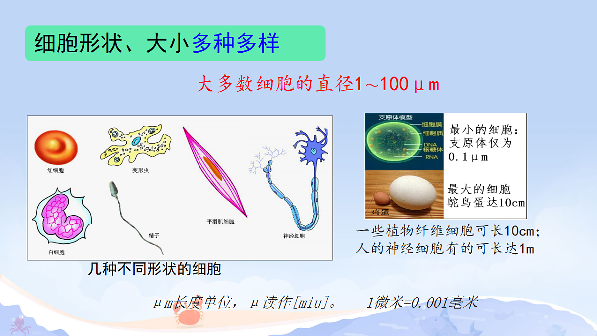 17371305第5页