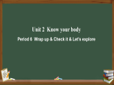 外研版2024英语 三年级下U2Know your body.Period 6 Wrap up& Let's explore课件