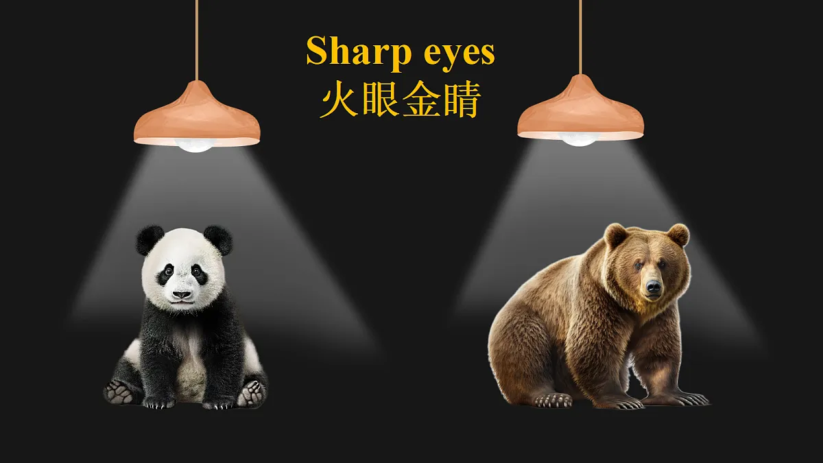 17371552第7页
