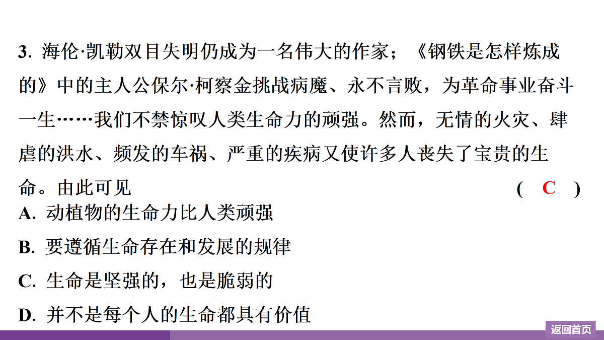 17372752第4页
