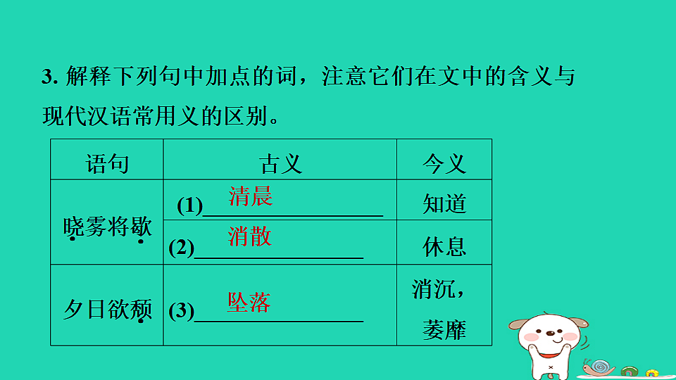 17372803第5页