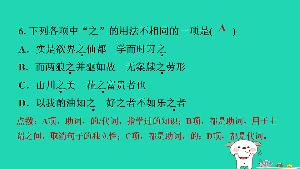 17372803第8页