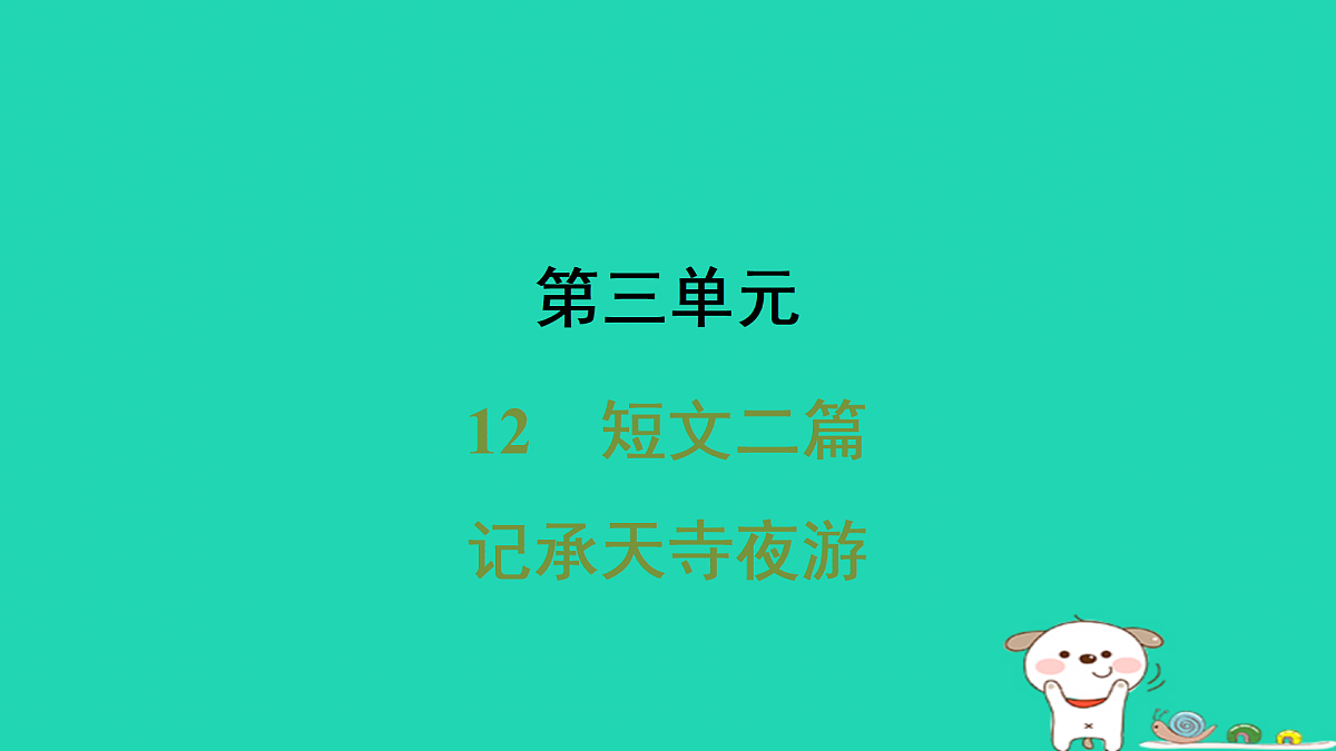 17372804第1页
