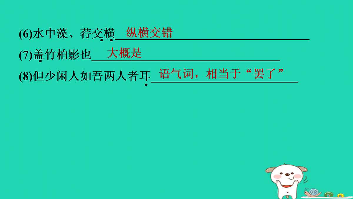 17372804第5页