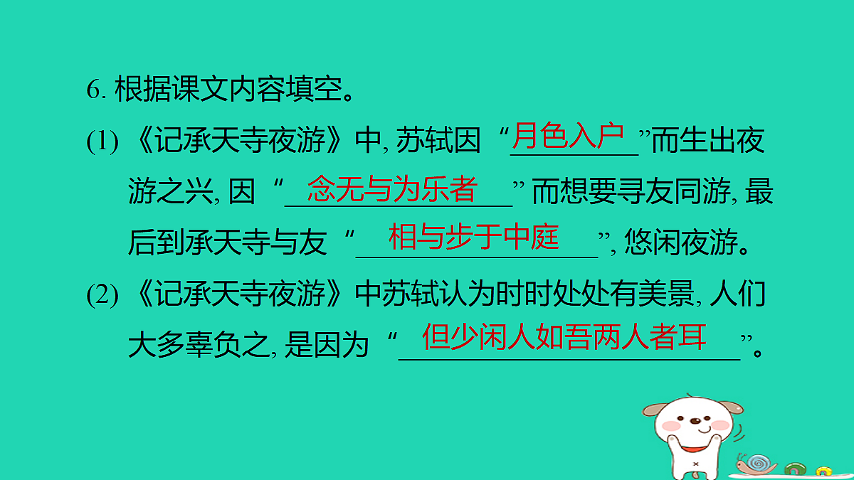 17372806第8页