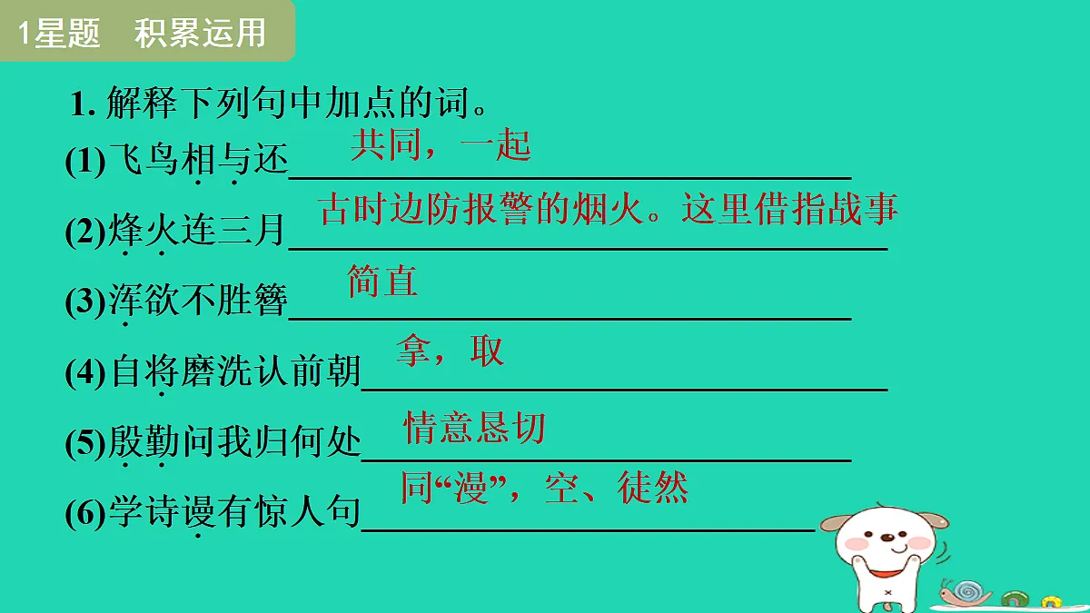 17372829第3页