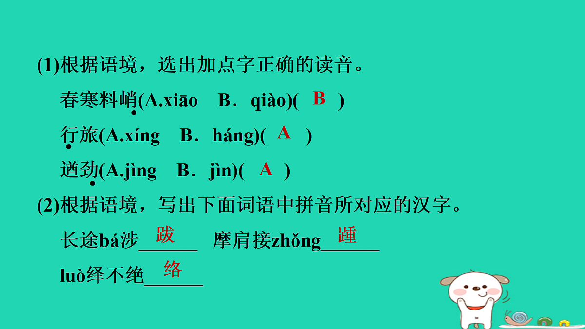 17372946第5页