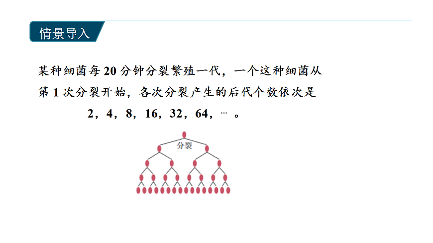 4.3.1等比数列的概念ppt-高中数学选择性必修第二册人教版.pptx第5页