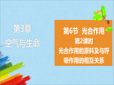 浙教版2024科学八年级下册3.6 光合作用 第2课时（课件 ）