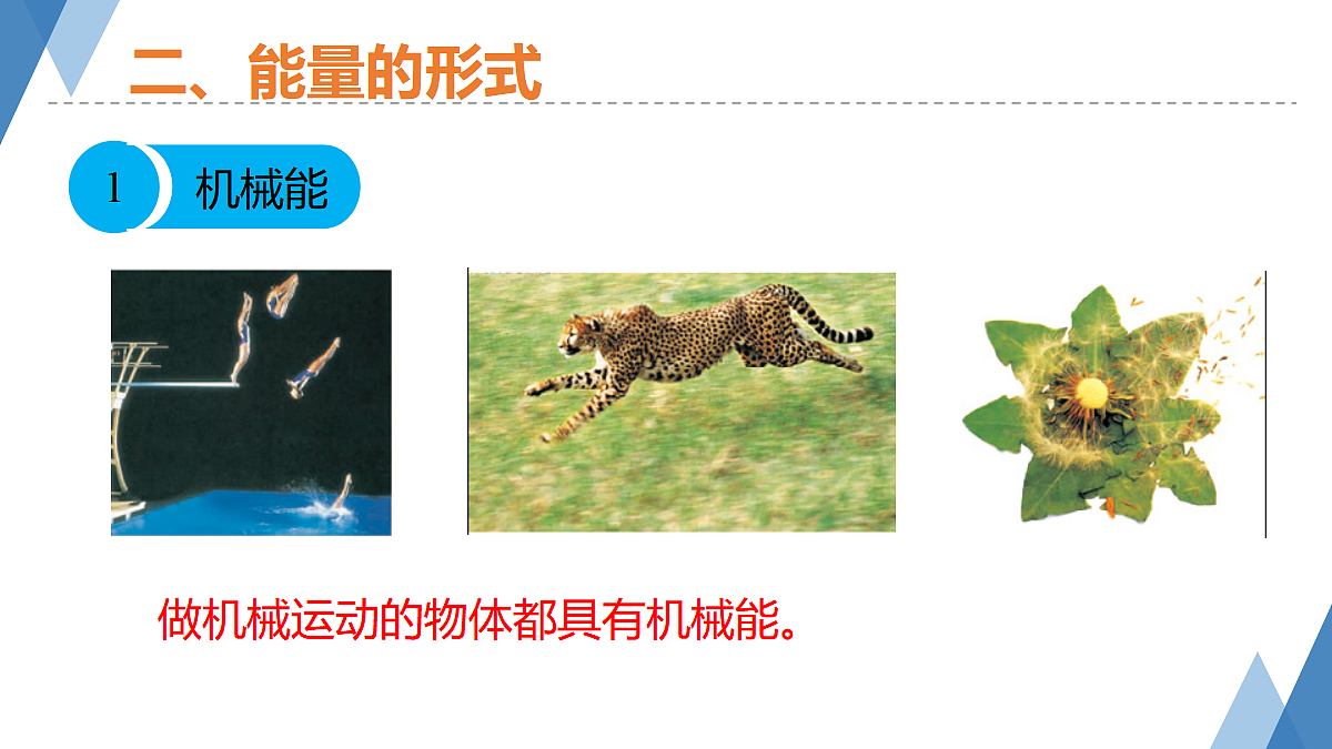17373258第7页