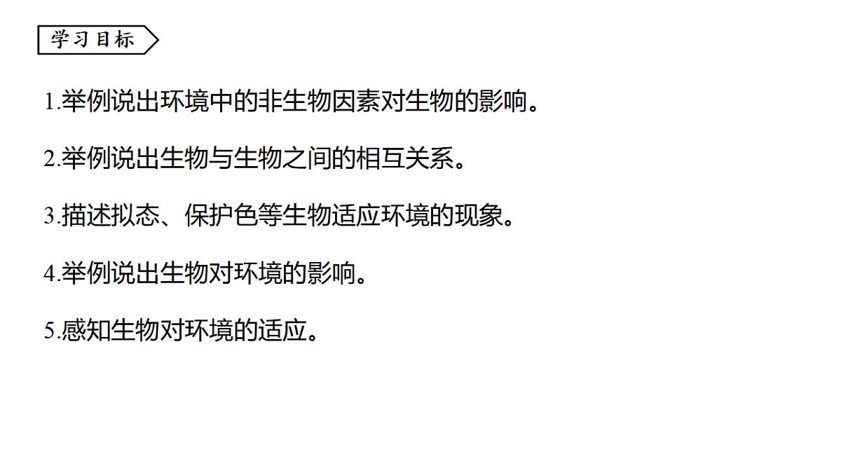 17373263第2页