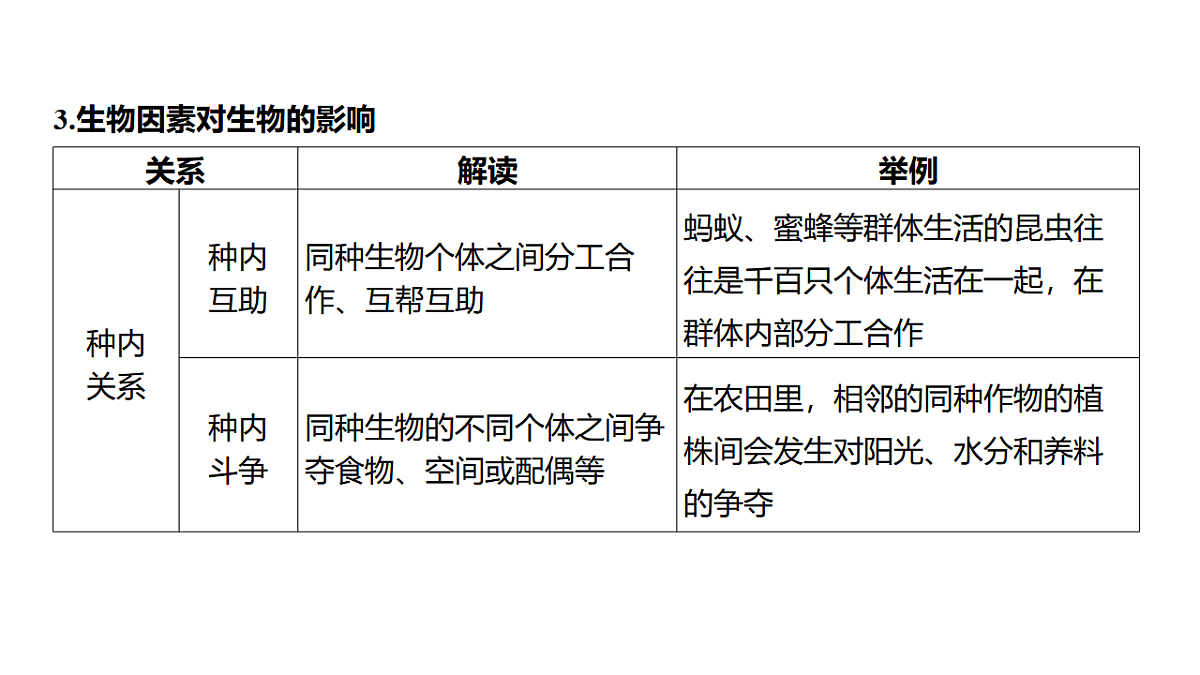 17373263第6页