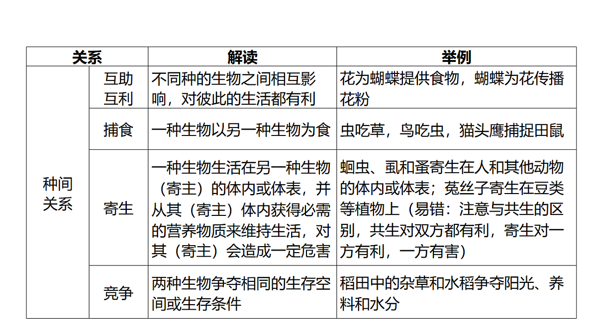 17373263第7页