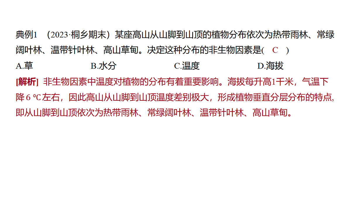 17373263第8页