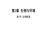 浙教版2024科学九年级下册2.3 生物群落（课件 )