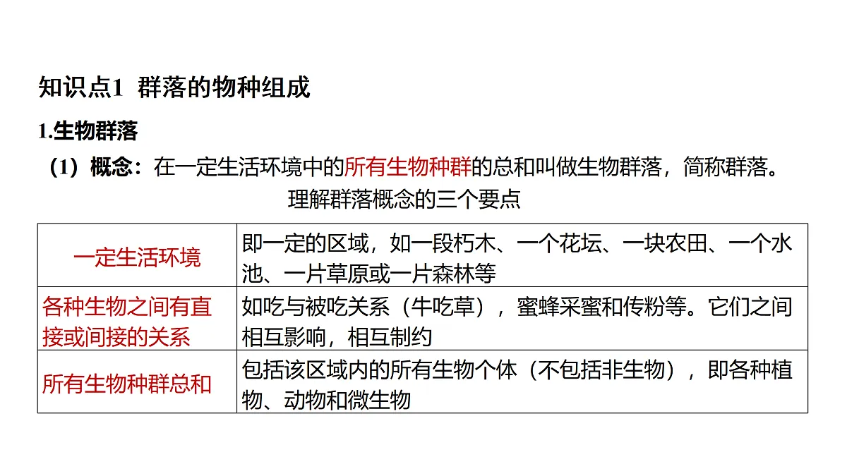 17373264第3页