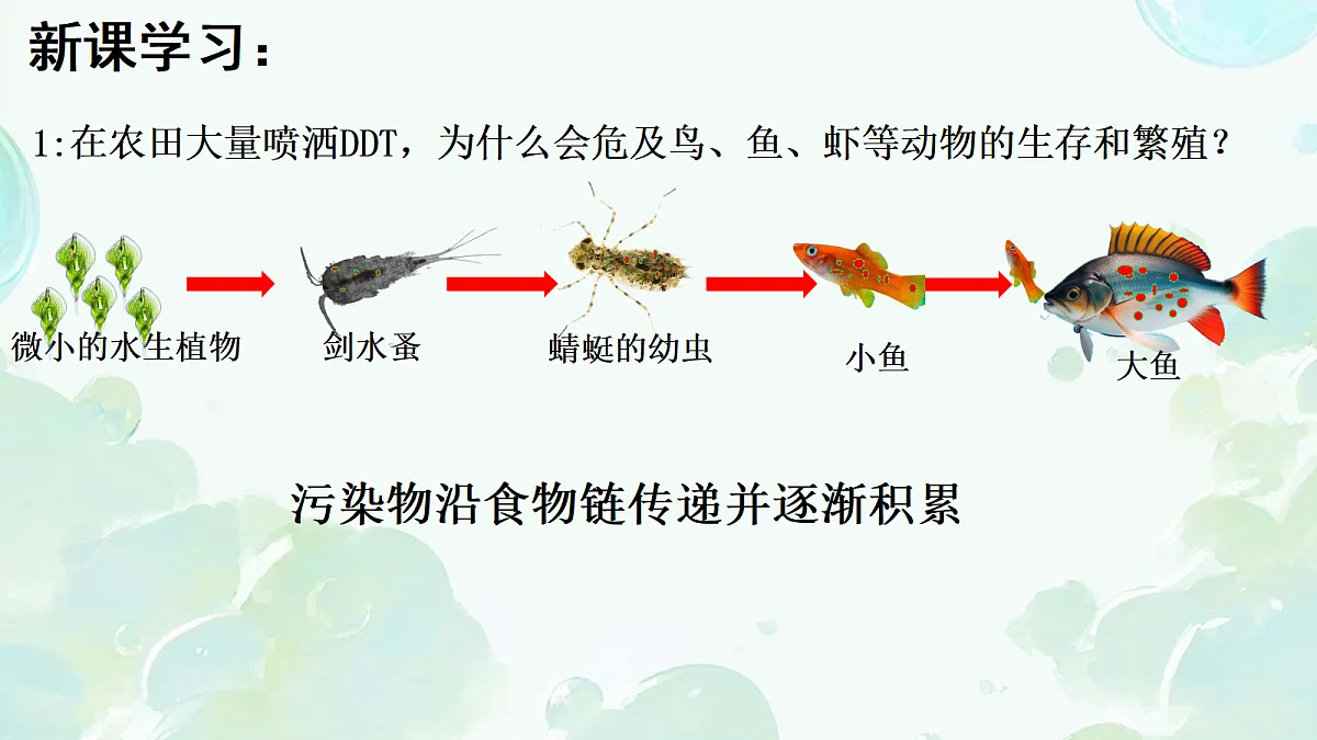 17373302第4页