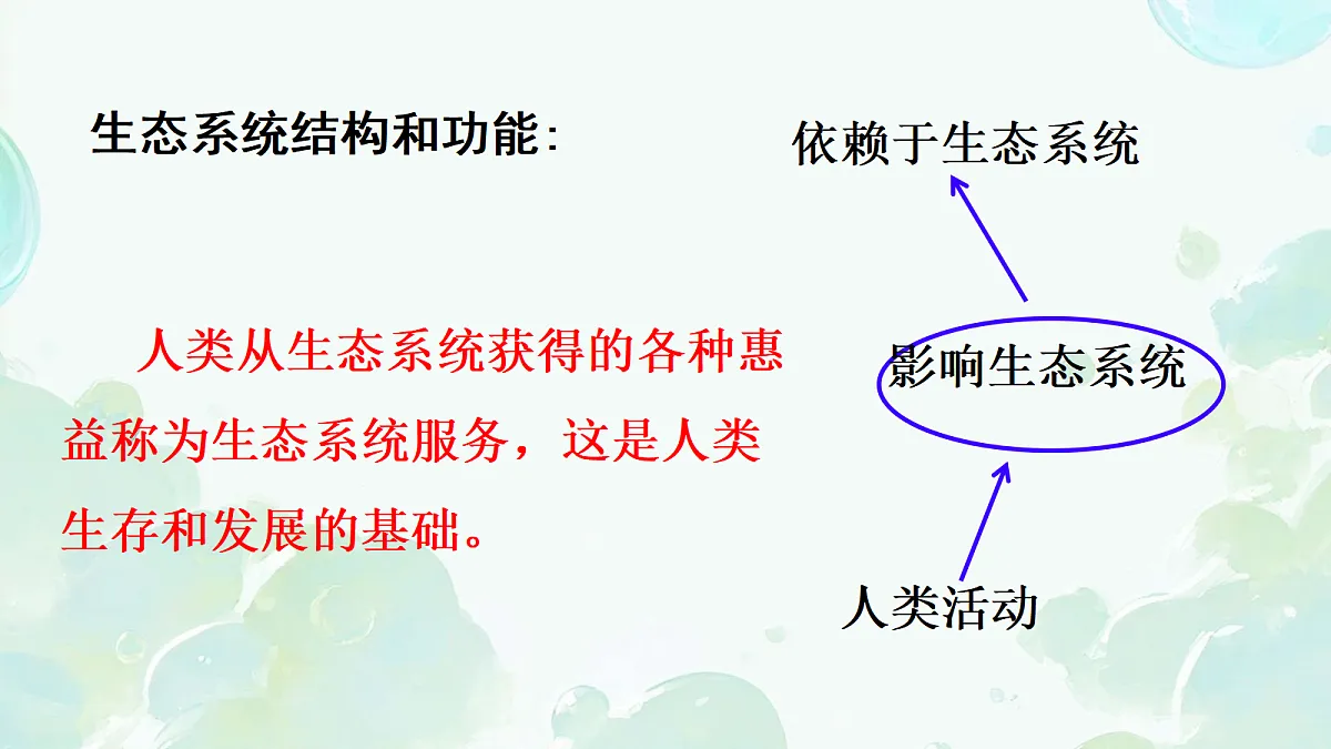 17373302第7页