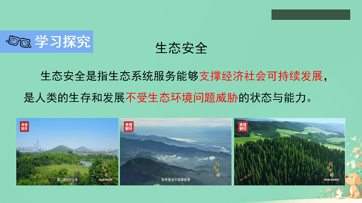 17373303第3页